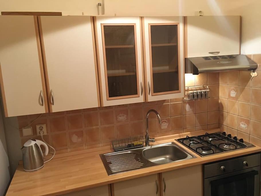 Utulne Ubytovani U Centra V Blizkosti Vystaviste برنو المظهر الخارجي الصورة
