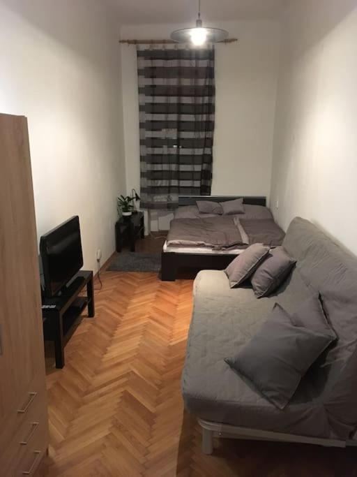 Utulne Ubytovani U Centra V Blizkosti Vystaviste برنو المظهر الخارجي الصورة